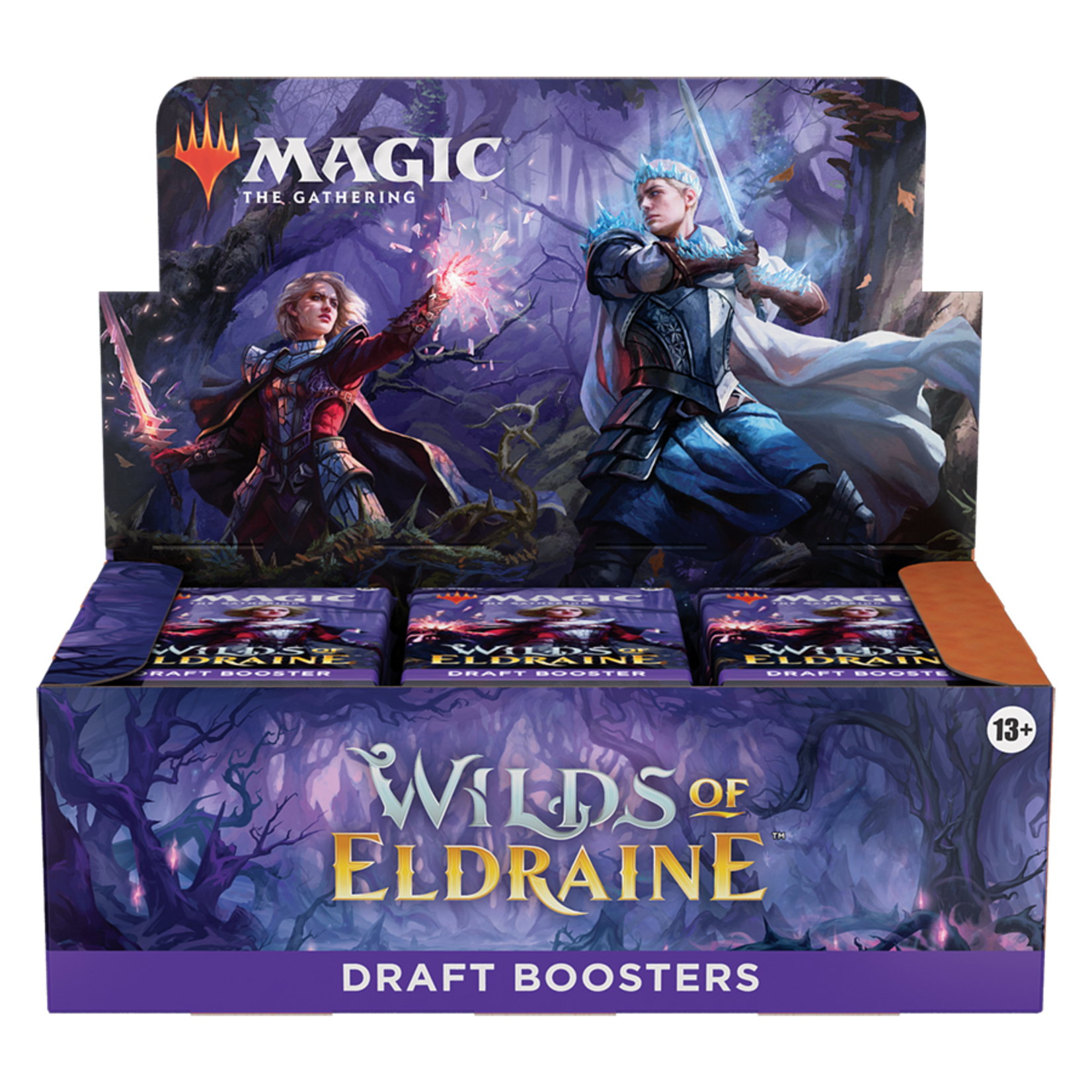 Wizards of the Coast Magic the Gathering CCG: Wilds of Eldraine Draft Booster Display Box