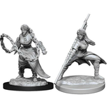 Wizkids D&D Nolzur's Marvelous Minis: Wave 14- Human Monk Female