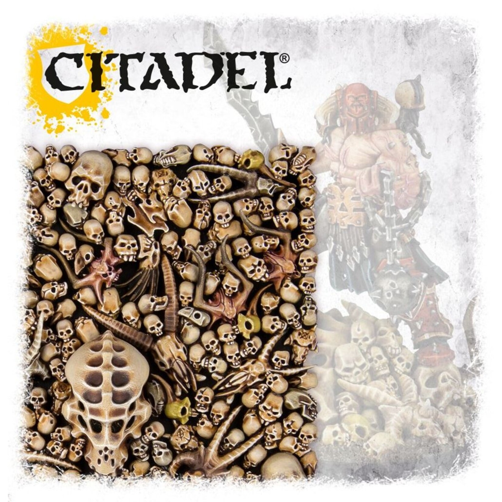 Games Workshop Citadel Skulls