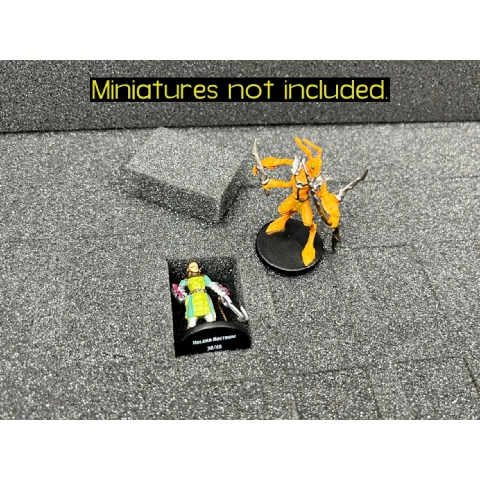 Chessex Figure Storage Box (L) for 25mm Humanoids