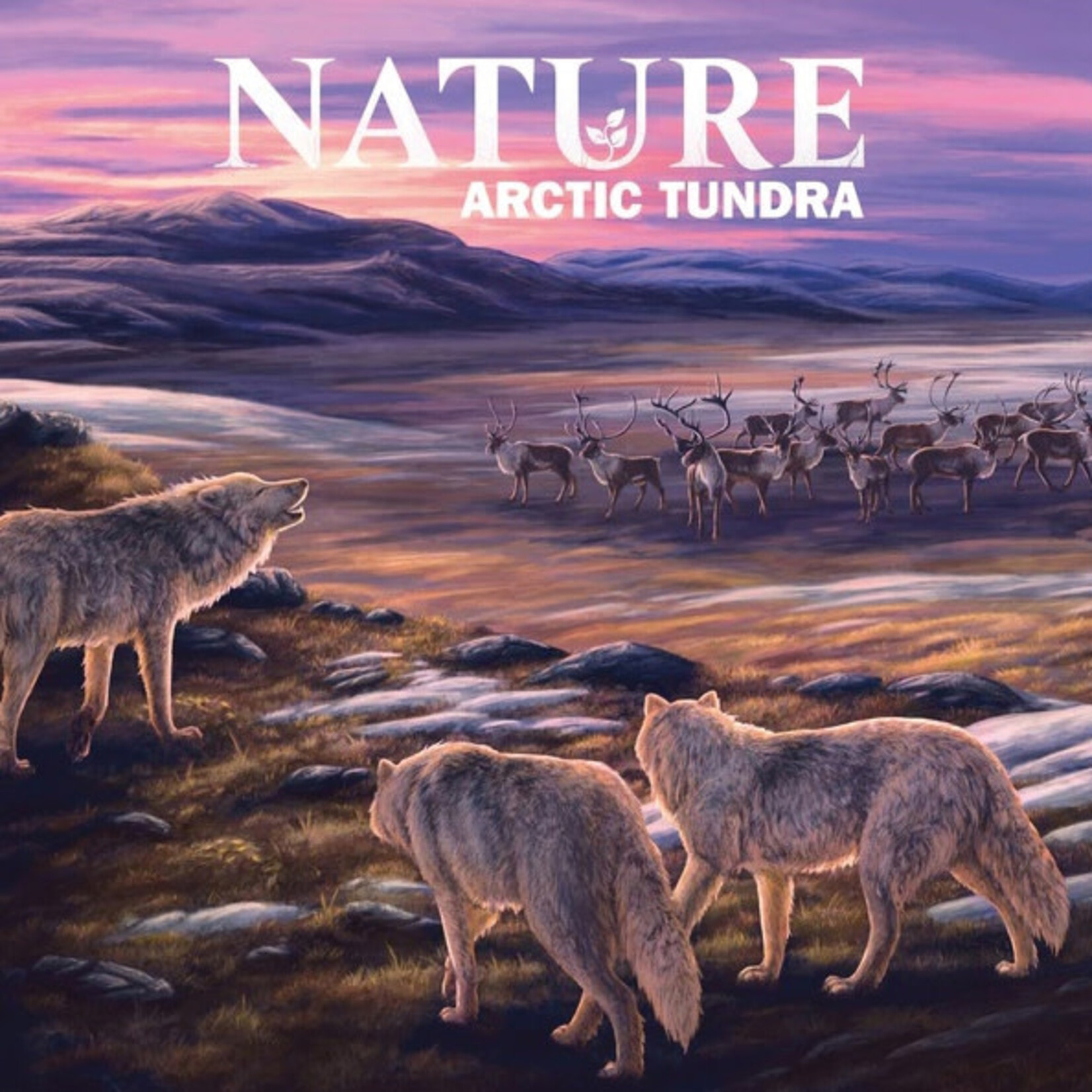 North Star Games Nature: Tundra Module Expansion