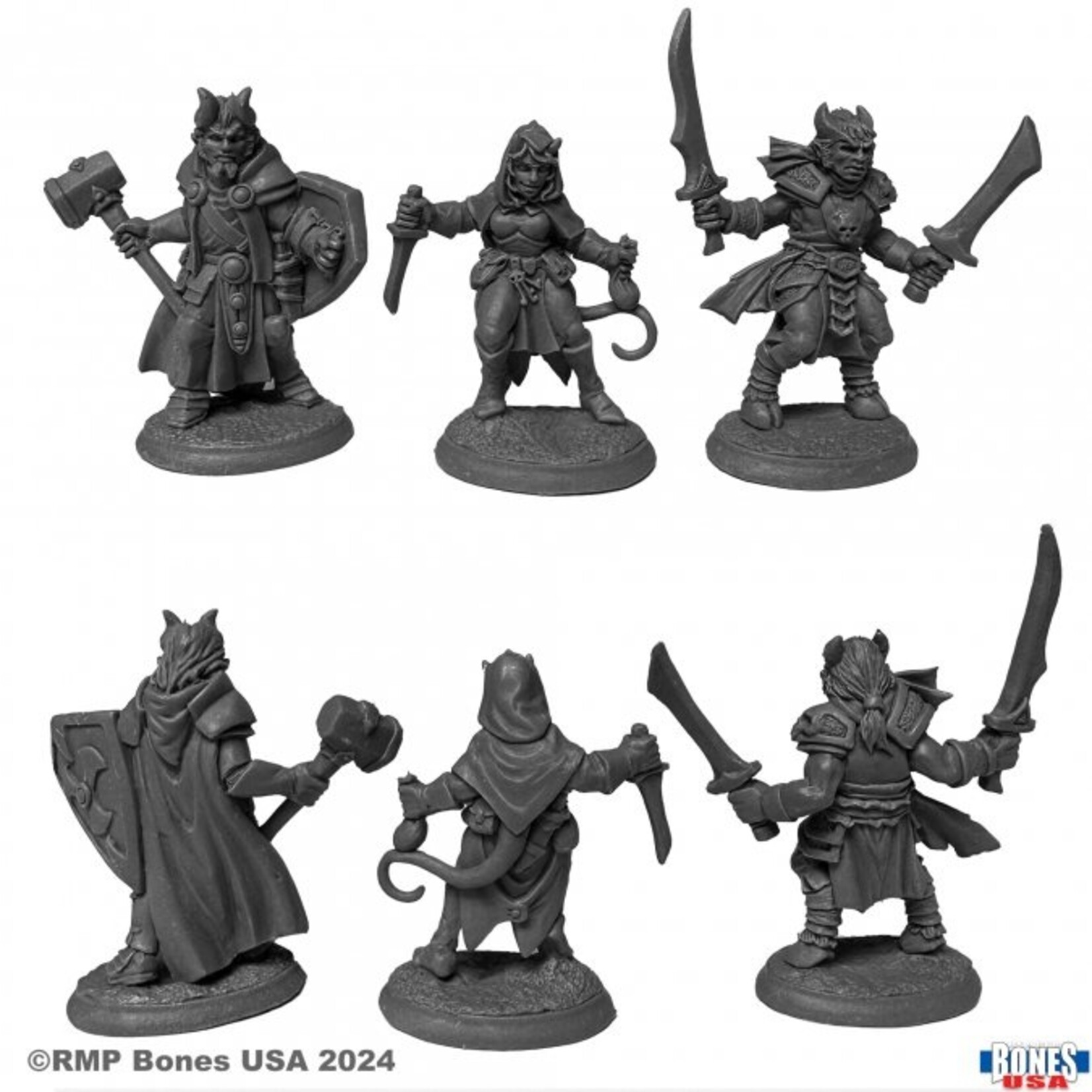 Reaper Miniatures Hellborn Heroes Boxed Set