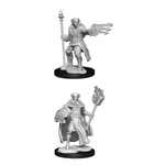 Wizkids DND Unpainted Minis Wave 13 Cleric/Wizard Male