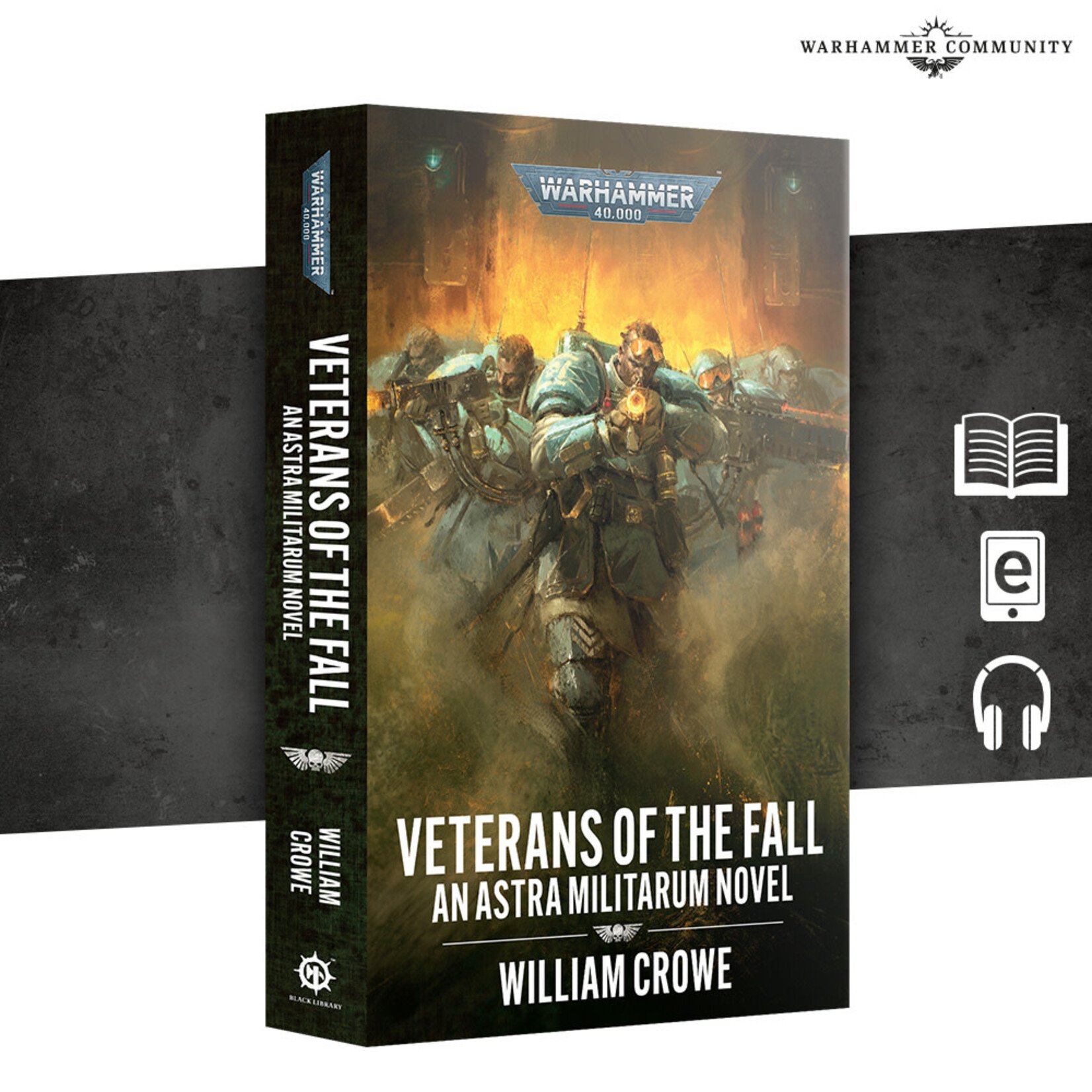 Veterans Of The Fall (Paperback)
