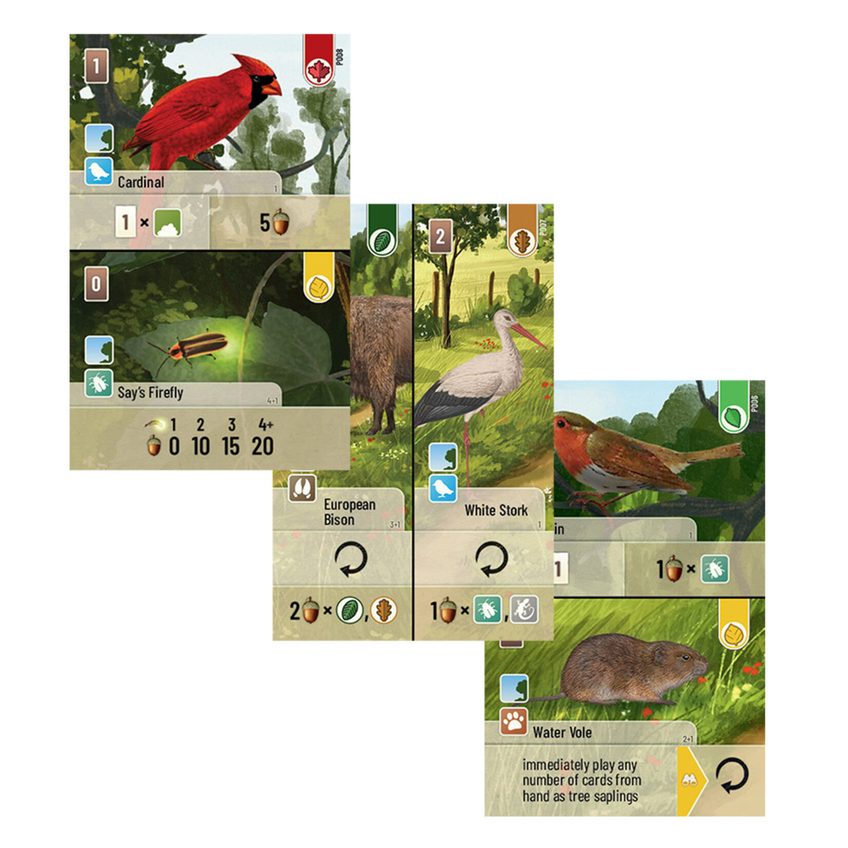 Lookout Games Forest Shuffle: Exploration