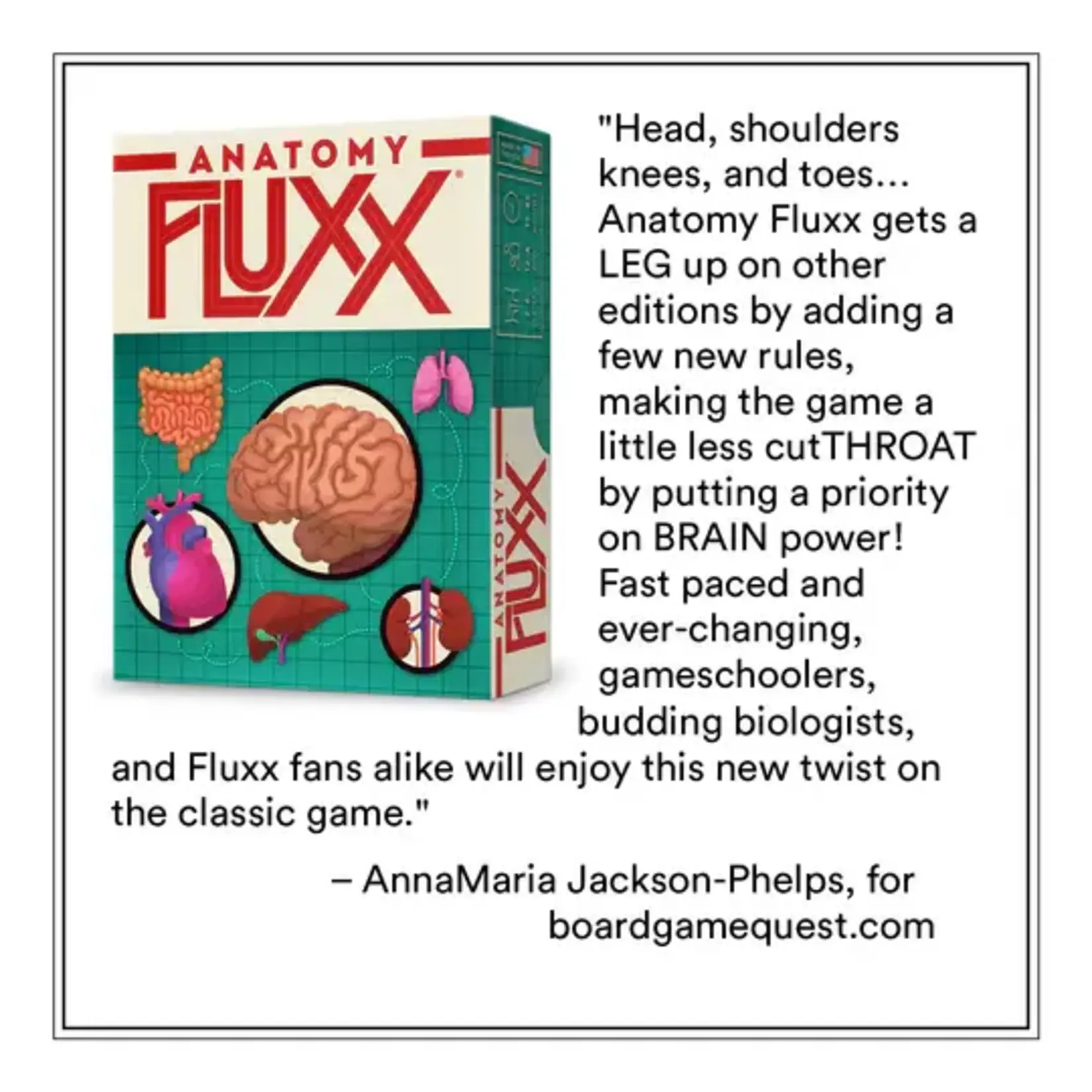 Looney Labs Anatomy Fluxx