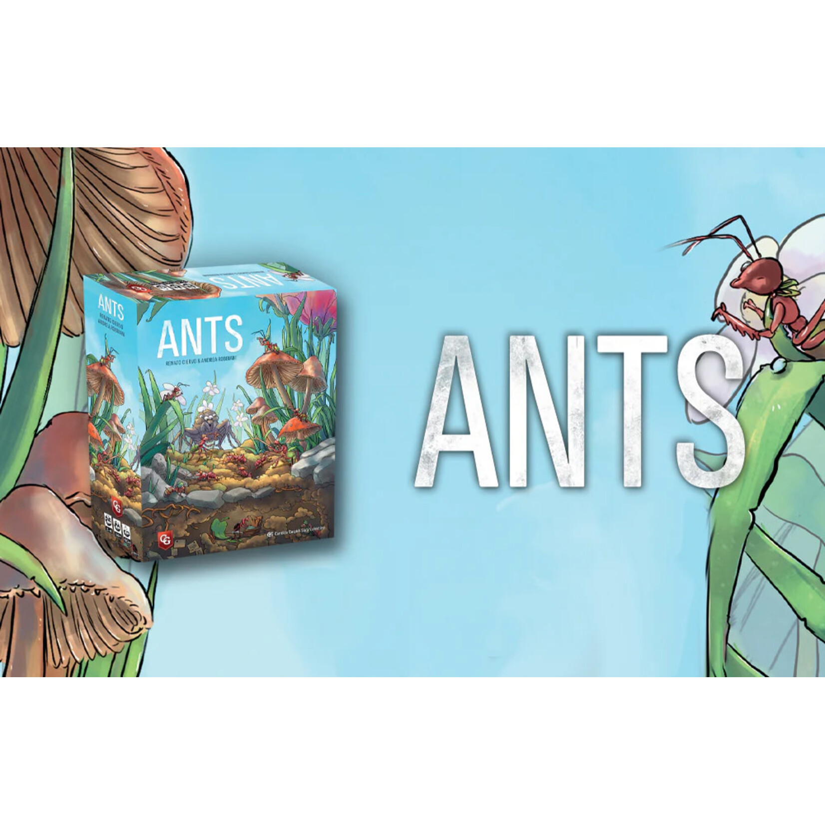 Ants