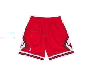 mitchell and ness shorts bulls