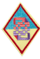 GIRL SCOUTS OF THE USA Cadette Cybersecurity Basics 1 Badge