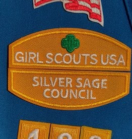 GIRL SCOUTS OF THE USA Daisy Silver Sage Council ID Set