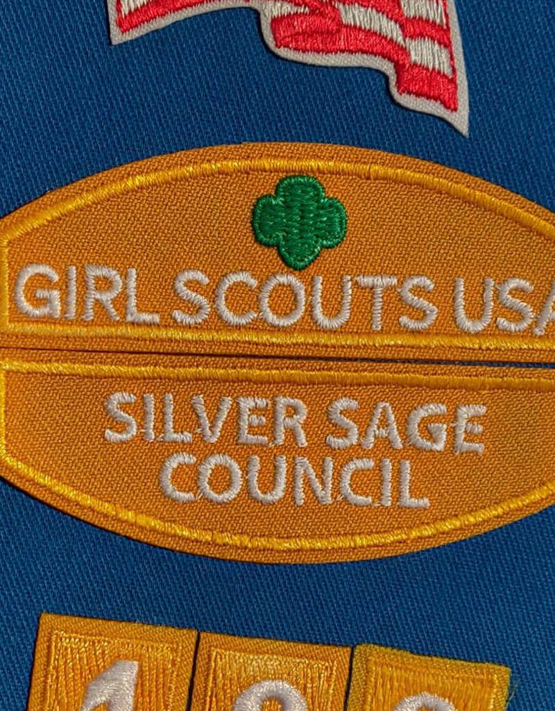 GIRL SCOUTS OF THE USA Daisy Silver Sage Council ID Set Girl Scouts