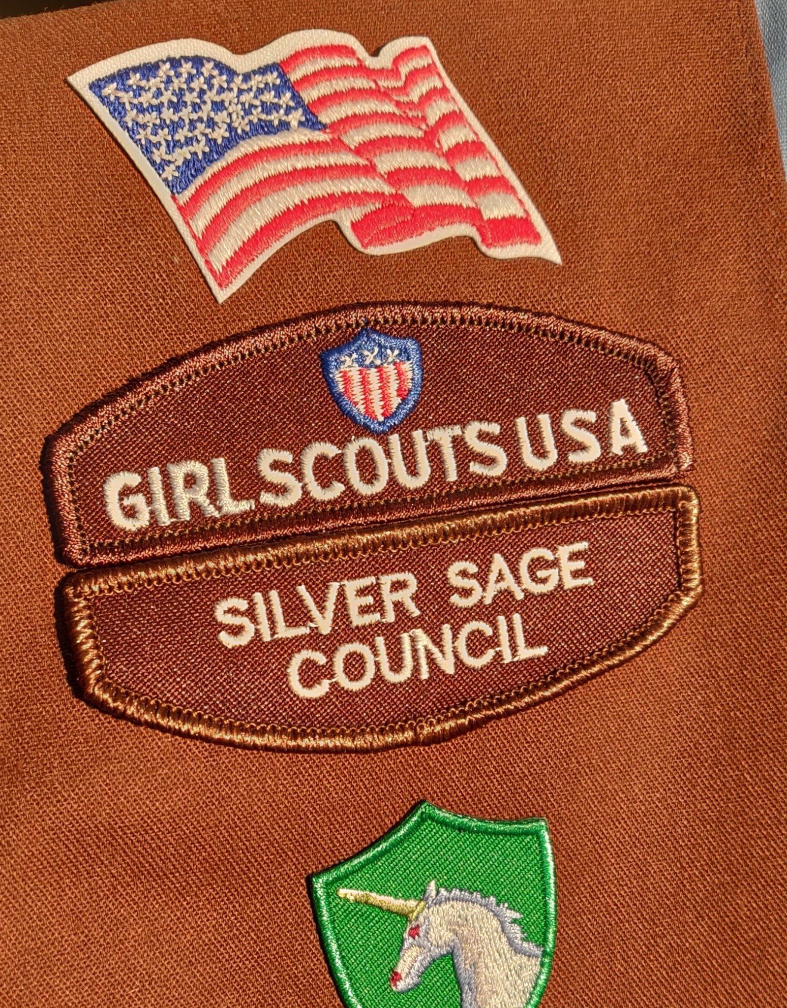 GIRL SCOUTS OF THE USA Brownie Silver Sage Council ID Set