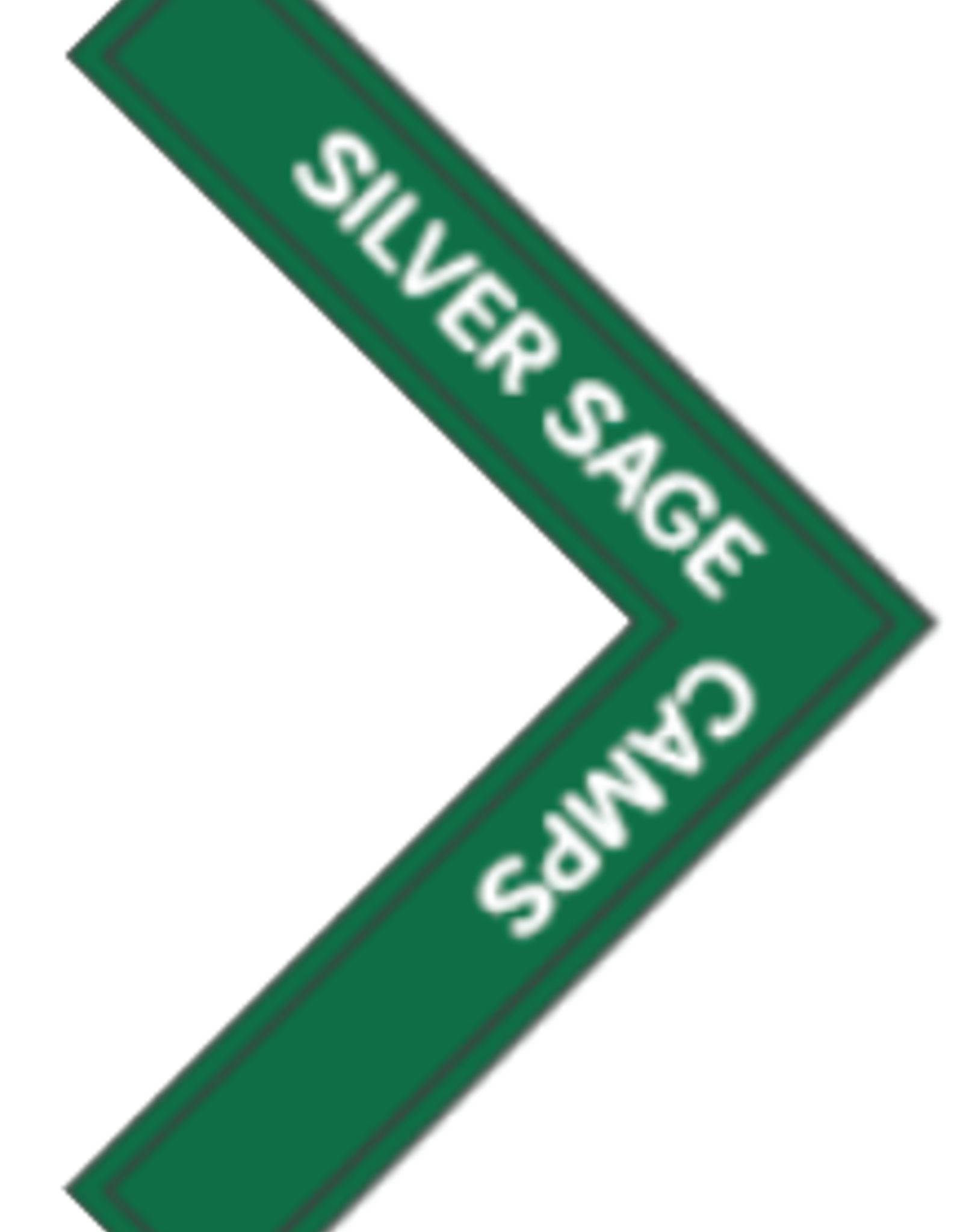 Advantage Emblem & Screen Prnt Silver Sage Camps Chevron Outdoor Progression Patch