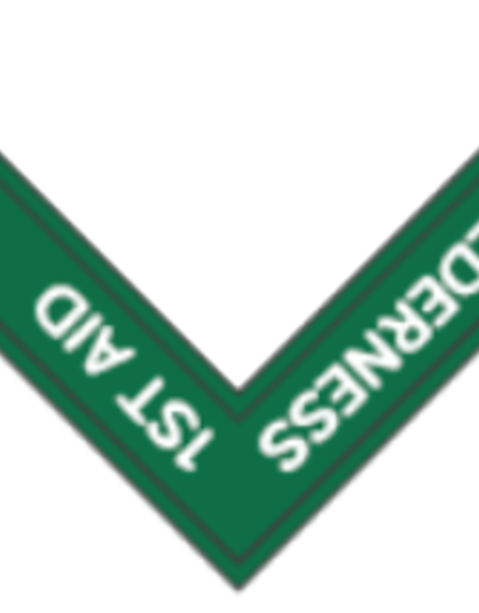 Advantage Emblem & Screen Prnt Wilderness 1st Aid Chevron Outdoor Progression Patch