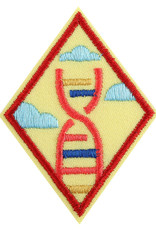 GIRL SCOUTS OF THE USA Cadette STEM Career Exploration Badge