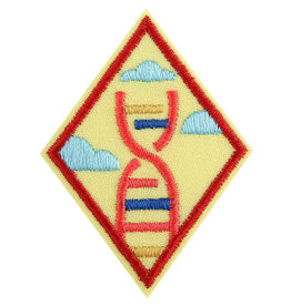 GIRL SCOUTS OF THE USA Cadette STEM Career Exploration Badge