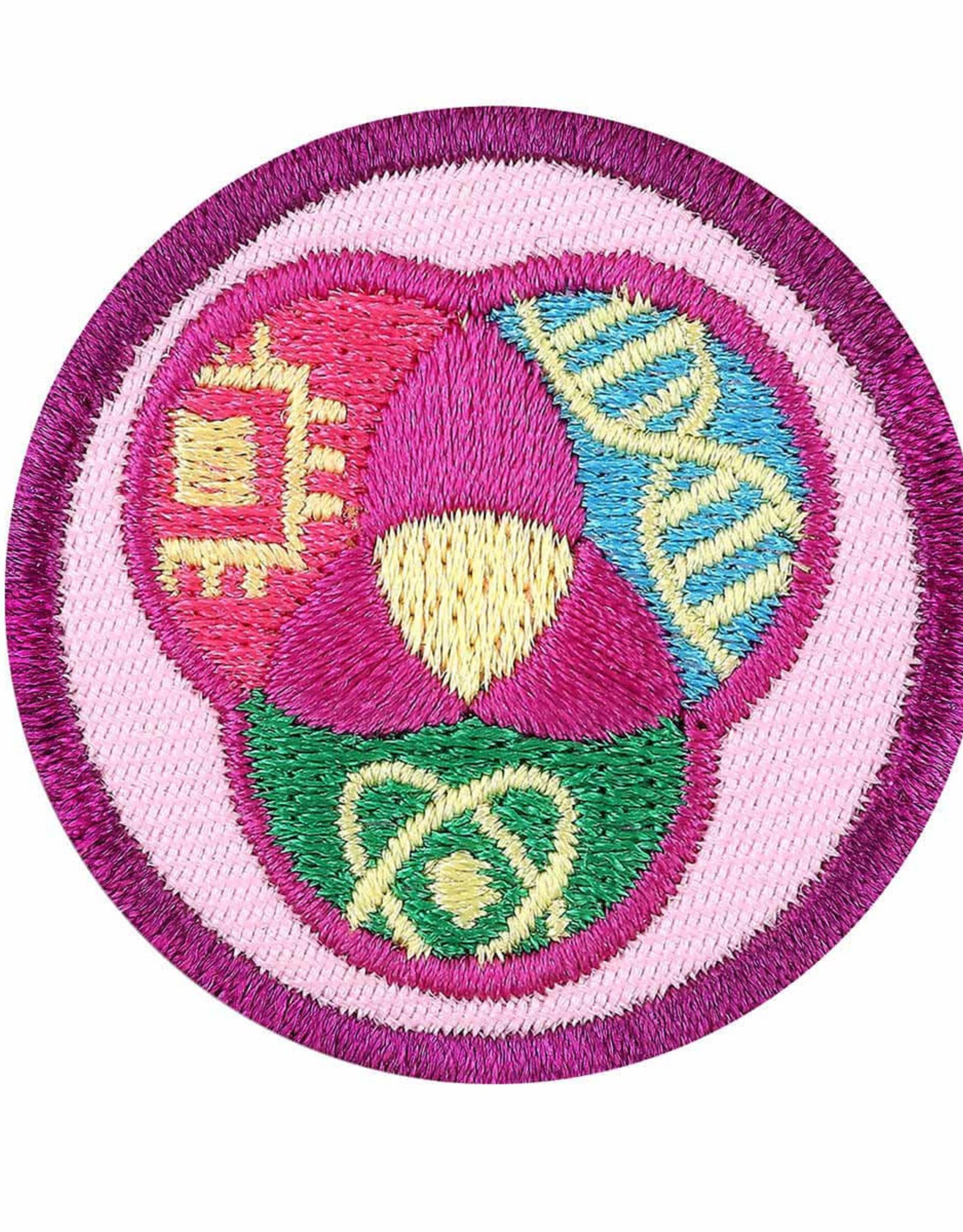 GIRL SCOUTS OF THE USA Junior STEM Career Exploration Badge