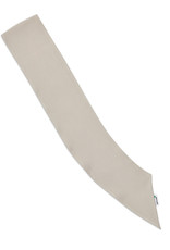 GSUSA Official Cadette Senior Ambassador Pocket Sash