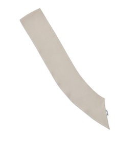 GSUSA Official Cadette Senior Ambassador Pocket Sash