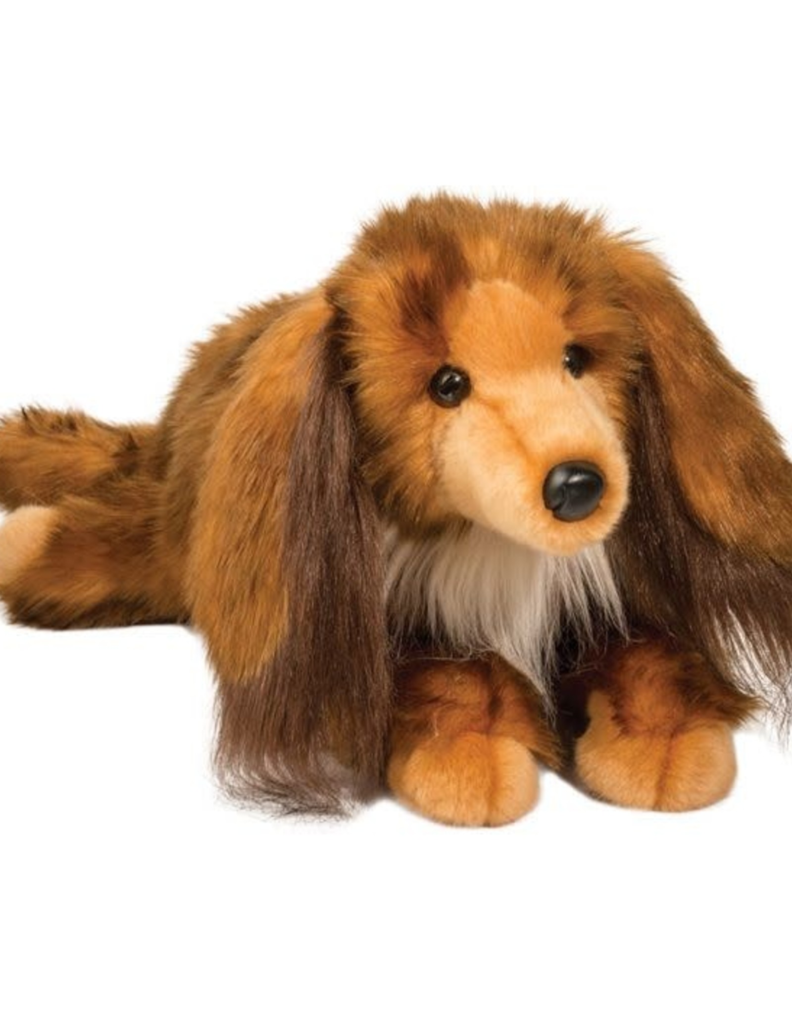 dachshund teddy