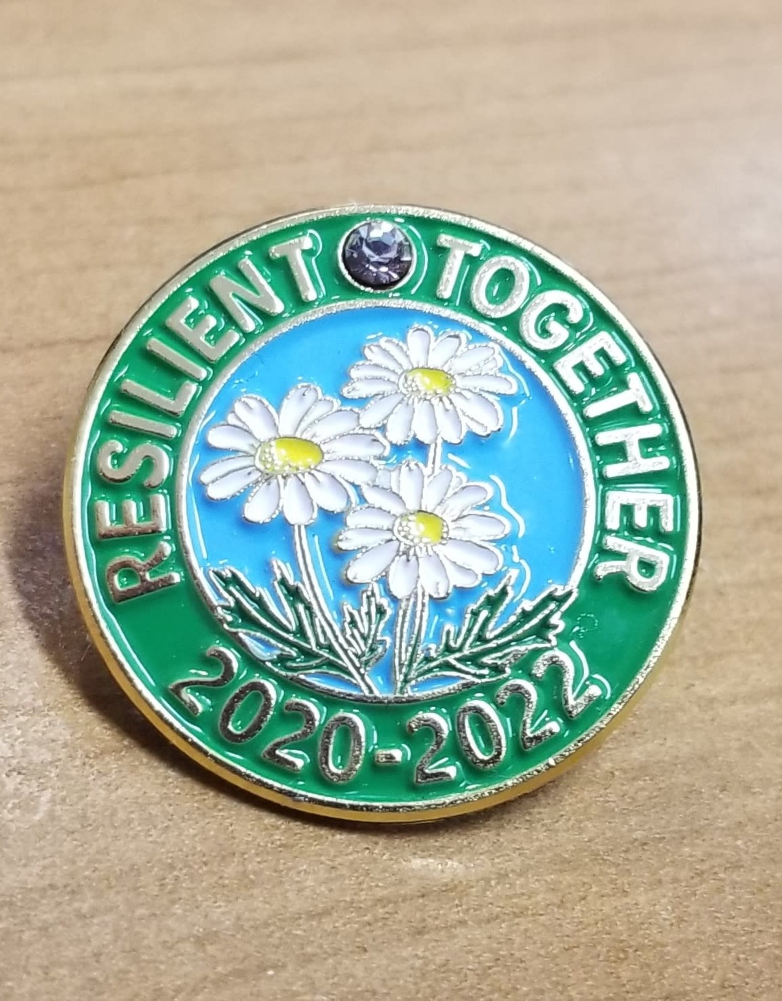 Resilient Together 2020-2022 Award Pin - Girl Scouts of Silver Sage ...