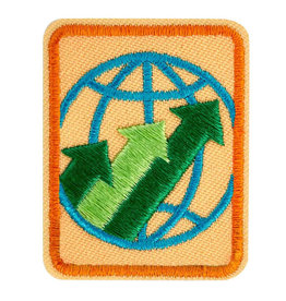 GIRL SCOUTS OF THE USA Senior Global Action Award Year 1  Badge