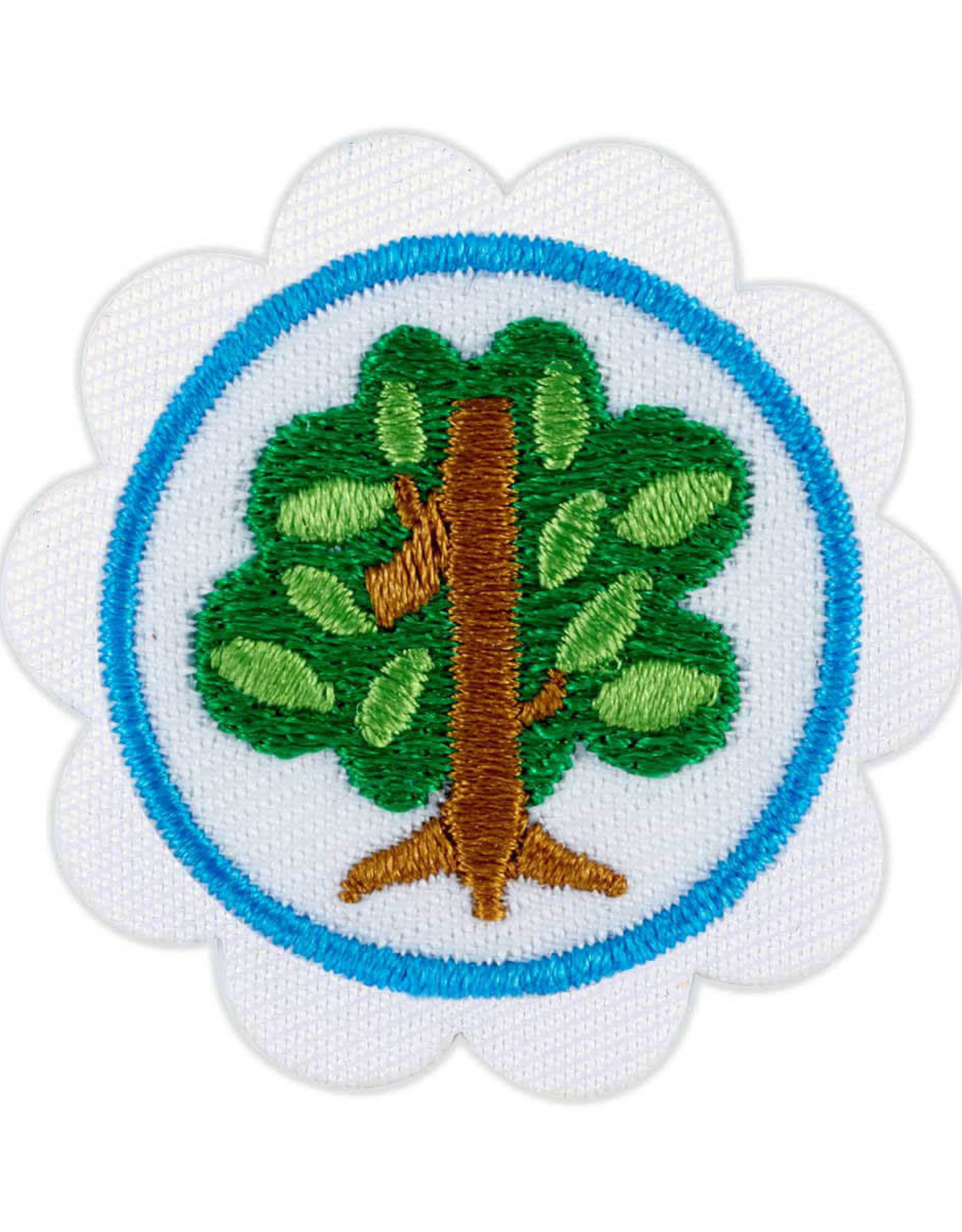 GIRL SCOUTS OF THE USA Daisy Math In Nature 1: Shapes In Nature Badge