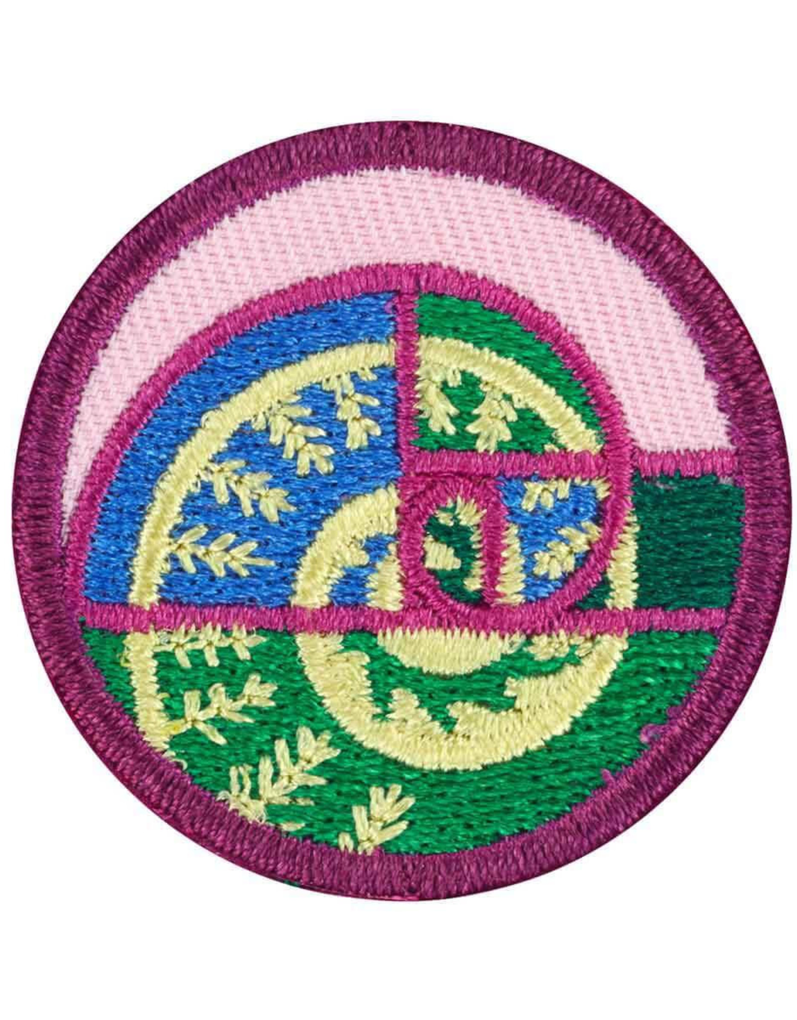 GIRL SCOUTS OF THE USA Junior Shapes In Nature Badge