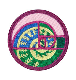 GIRL SCOUTS OF THE USA Junior Shapes In Nature Badge