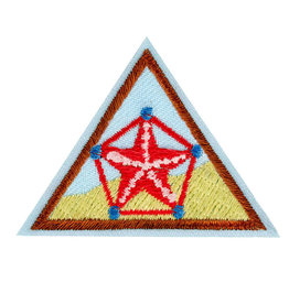 GIRL SCOUTS OF THE USA Brownie Numbers In Nature  Badge