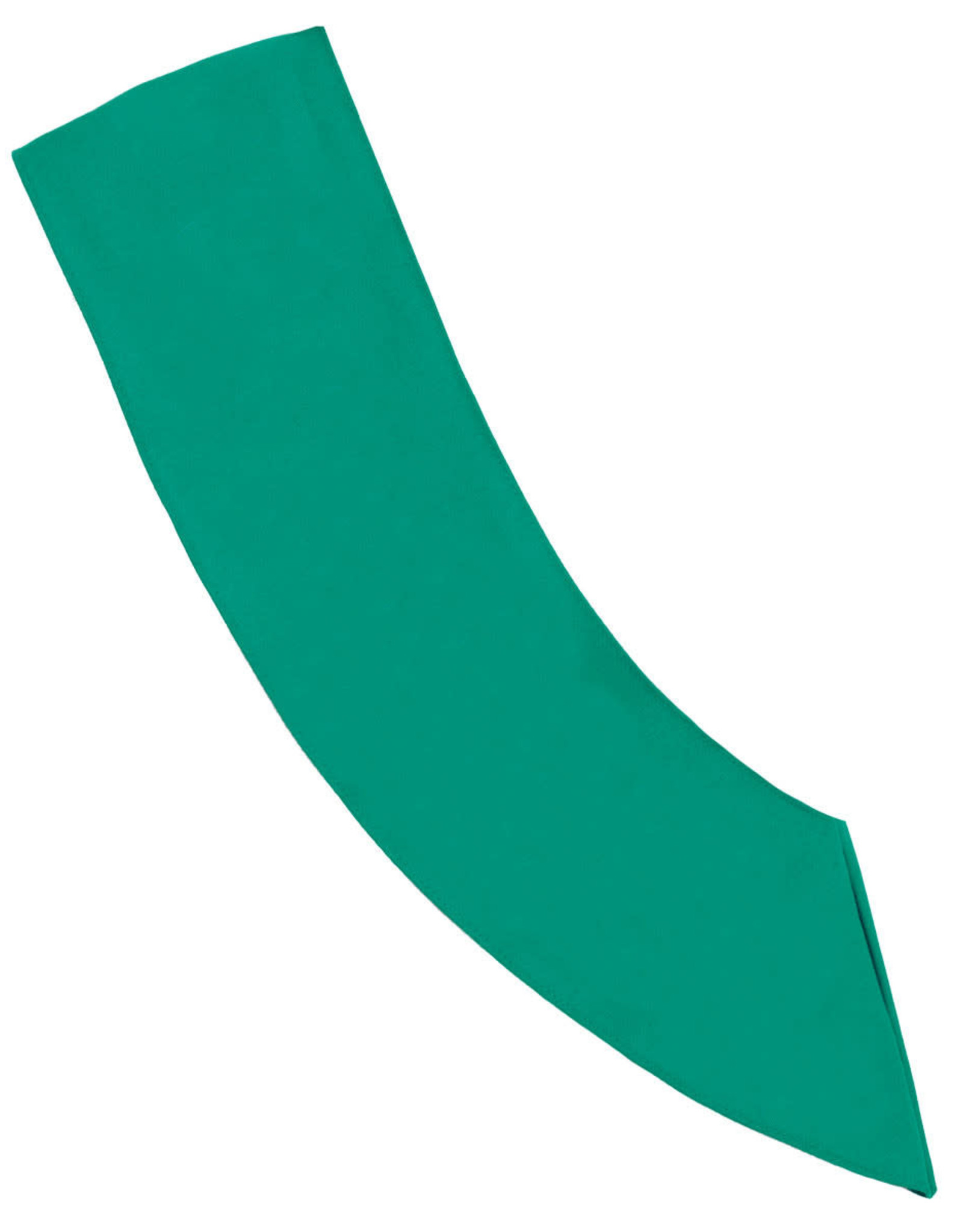 GIRL SCOUTS OF THE USA Official Junior Sash