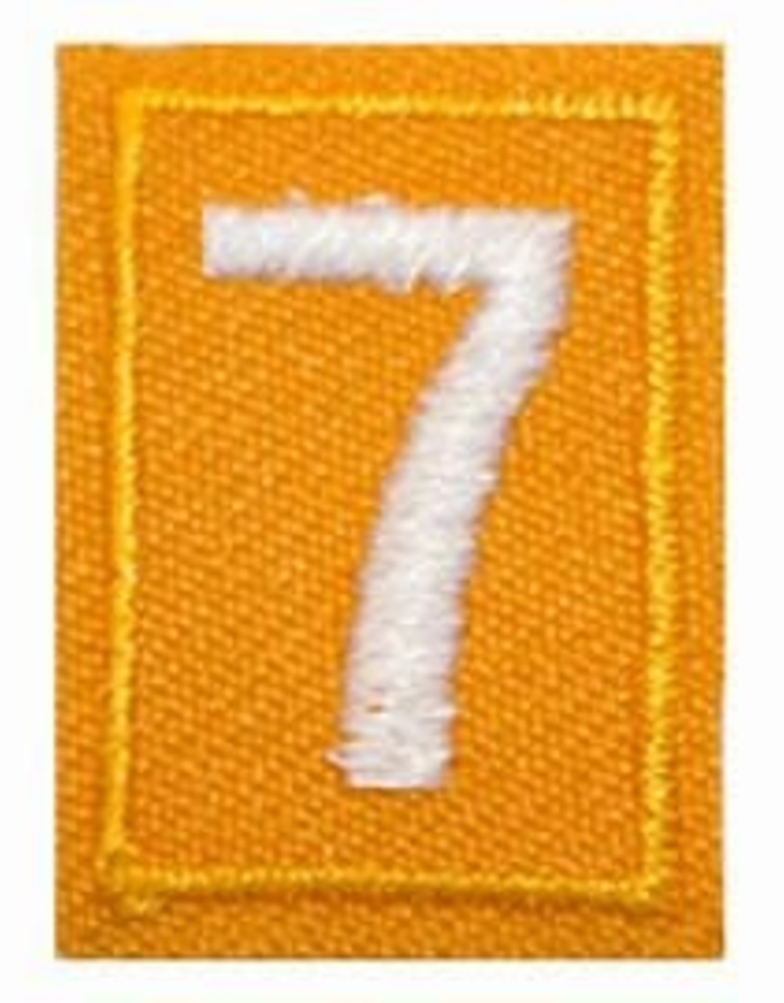 GIRL SCOUTS OF THE USA Daisy Uniform Troop Numerals