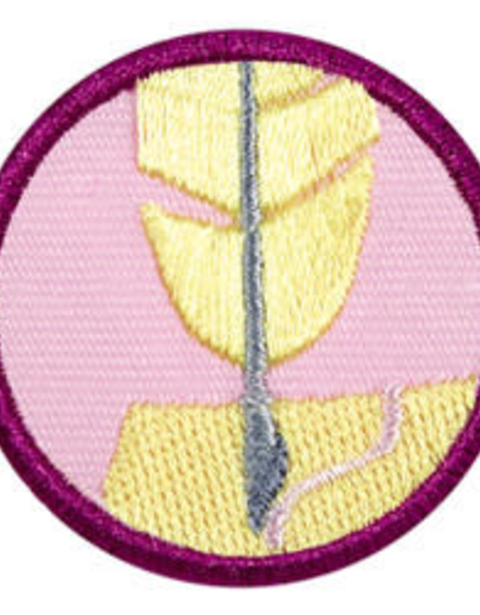 GIRL SCOUTS OF THE USA Junior Scribe Badge