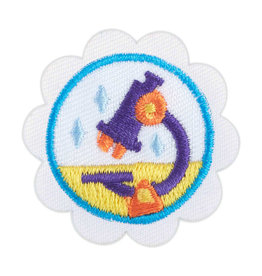 GIRL SCOUTS OF THE USA Daisy STEM Career Exploration Badge