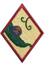 GIRL SCOUTS OF THE USA Cadette New Cuisines Badge