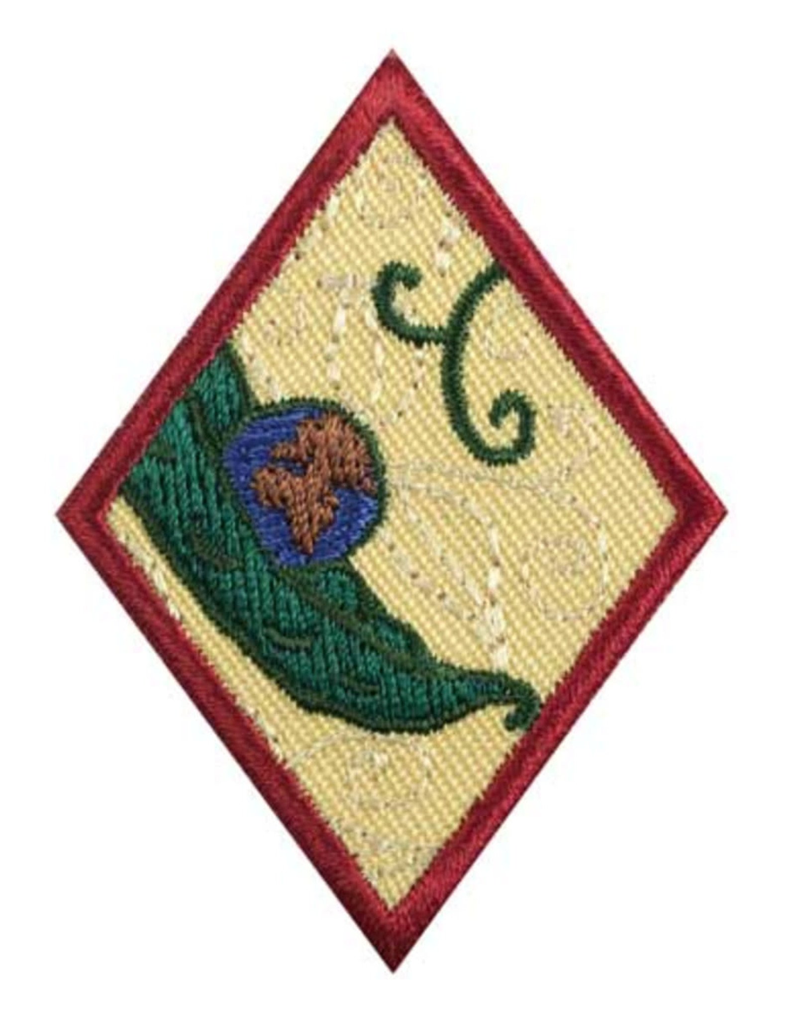 GIRL SCOUTS OF THE USA Cadette New Cuisines Badge