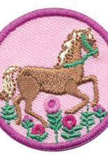 GIRL SCOUTS OF THE USA Junior Horseback Riding Badge