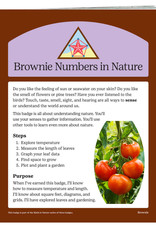 GIRL SCOUTS OF THE USA Brownie Numbers In Nature Requirements Pamphlet
