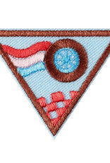 GIRL SCOUTS OF THE USA Brownie Mechanical Engineering: Race Car Design Badge