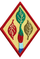 GIRL SCOUTS OF THE USA Cadette Outdoor Art Apprentice Badge