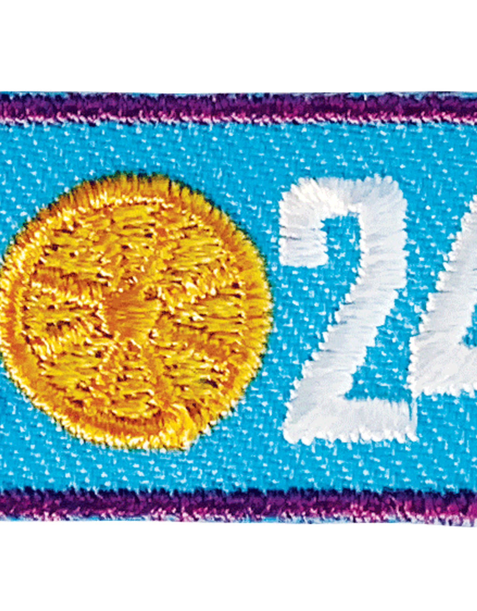 ! 2024 Own Your Magic Cookie Year Bar Patch