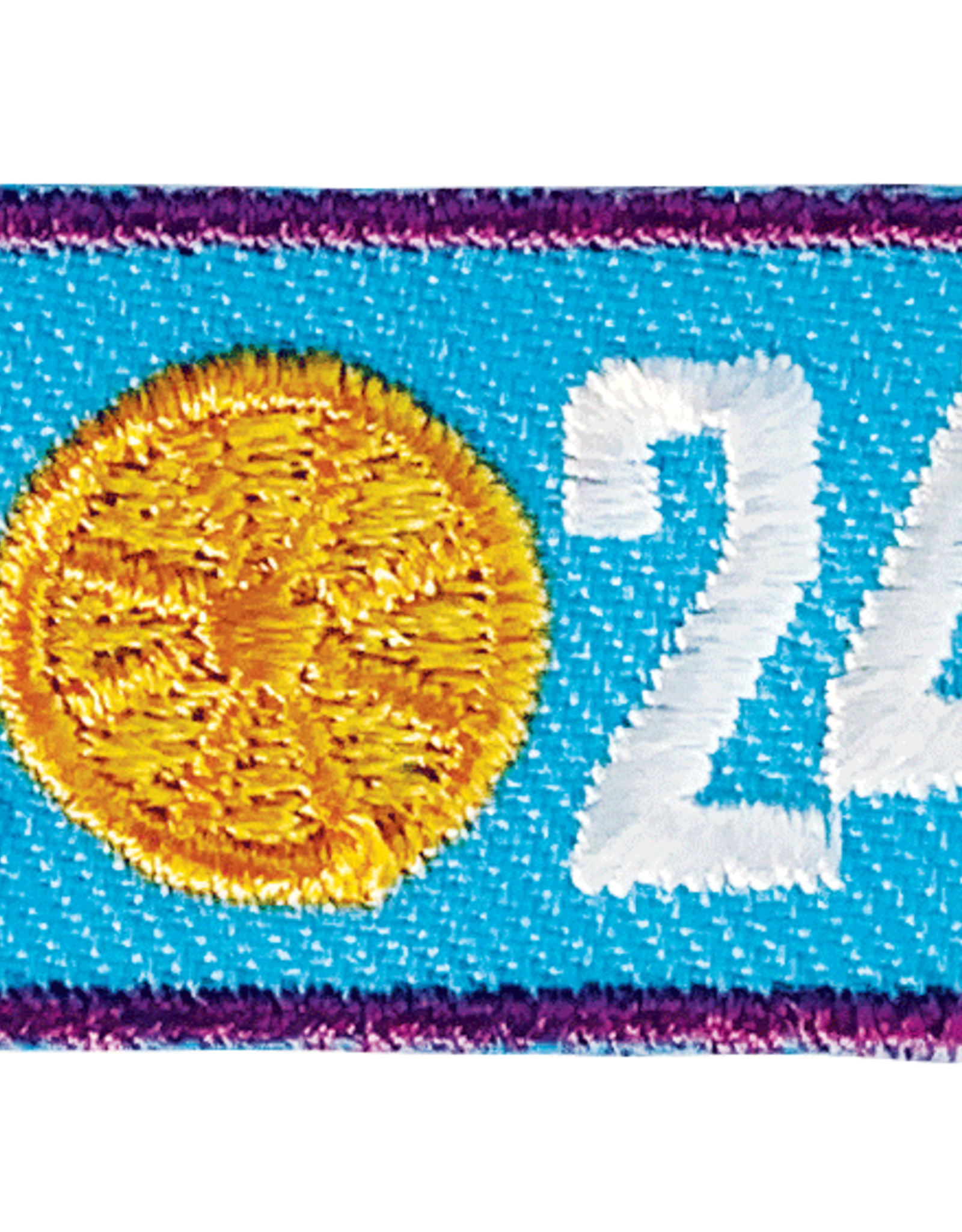 2024 Own Your Magic Year Bar Patch