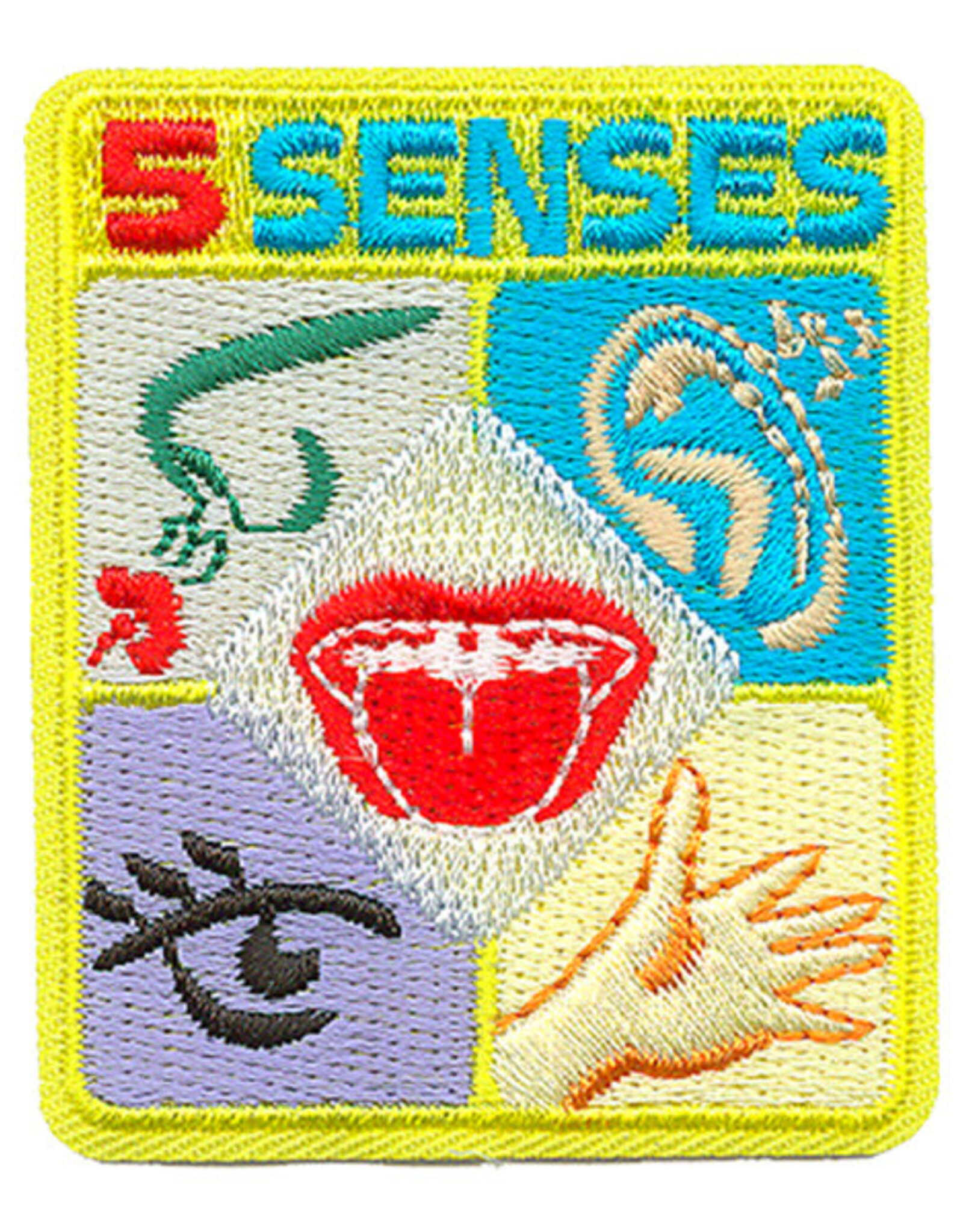 Advantage Emblem & Screen Prnt Five Senses Fun Patch