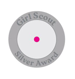 Silver Award Disc Backer