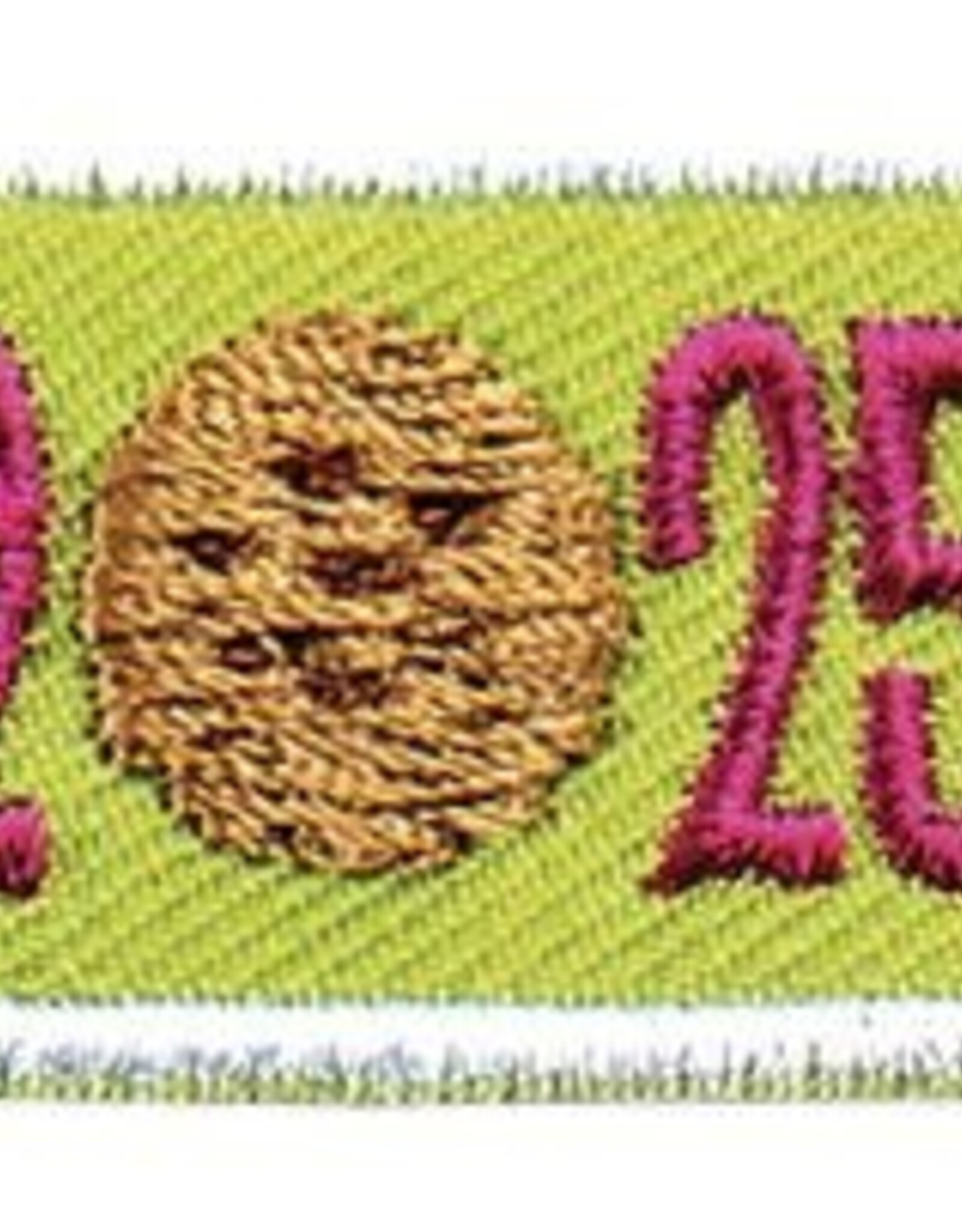 2025 Embrace Possibility Year Bar Patch