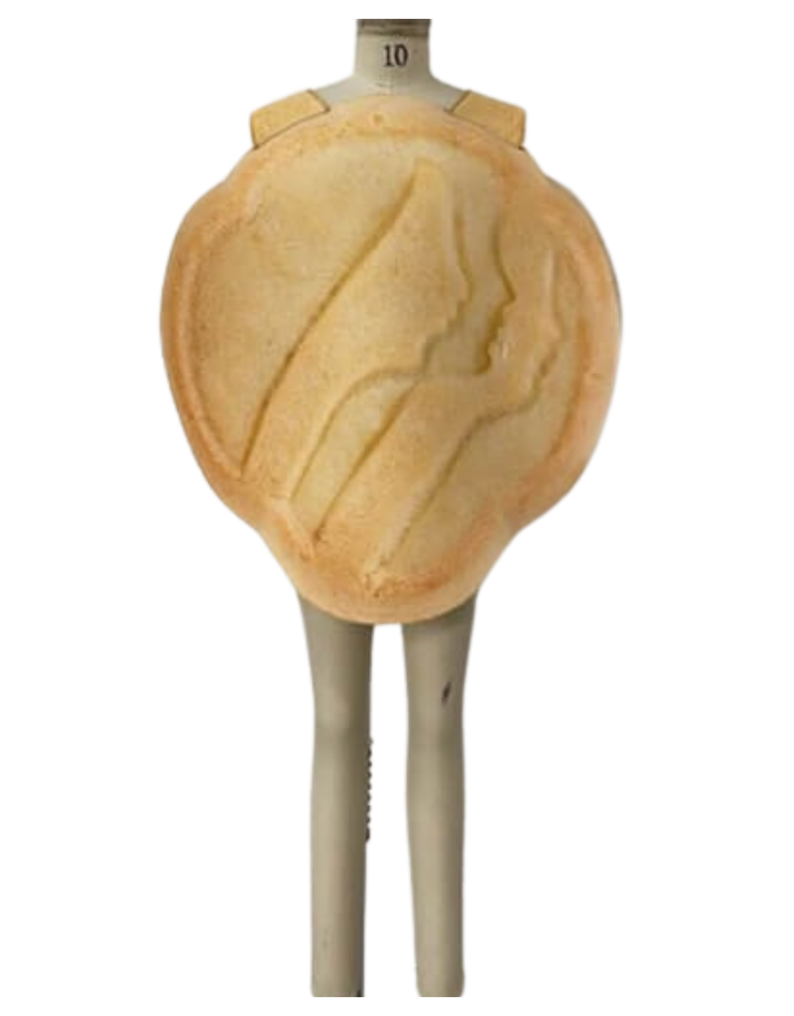 GSUSA Trefoil Cookie Costume