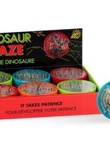 Dinosaur Maze