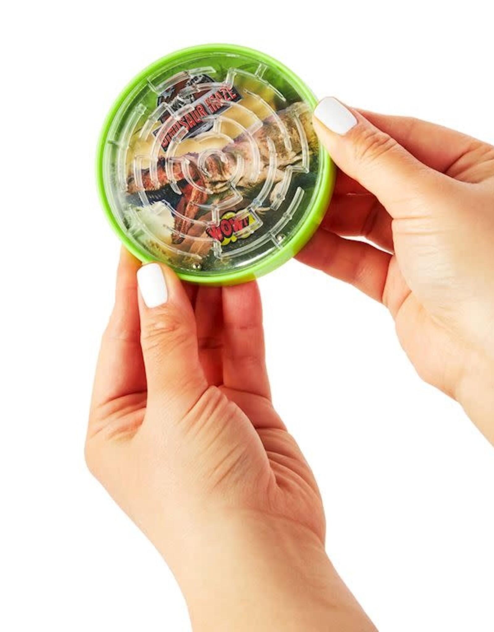 Dinosaur Maze Toy