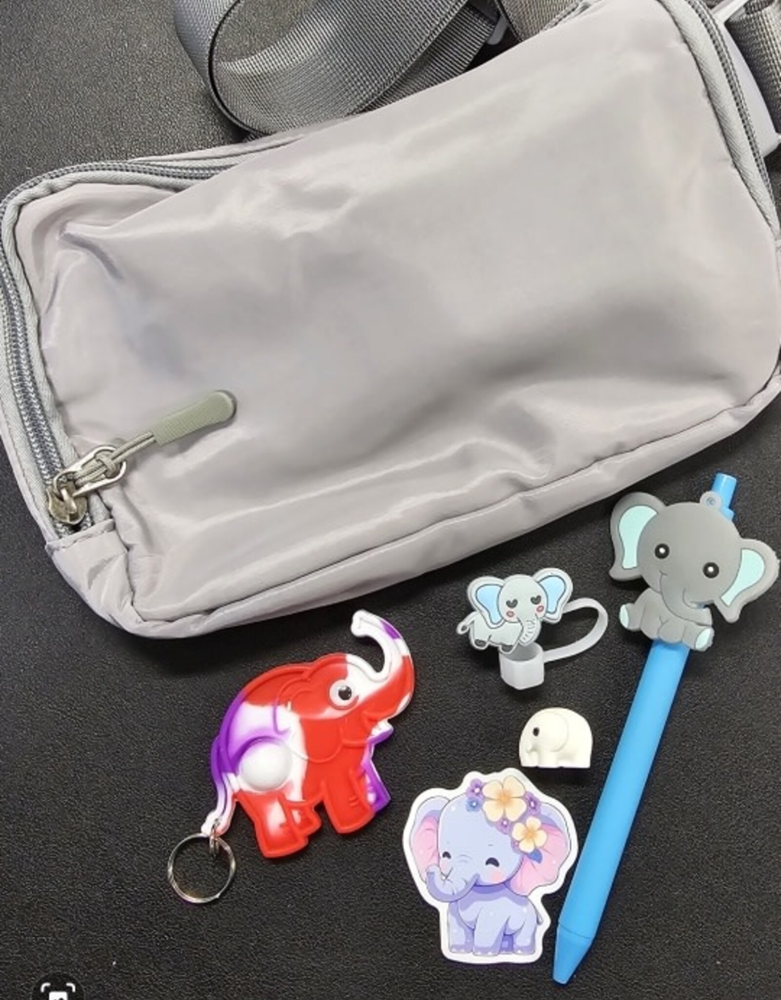 Amazon.com Ele-FUN Kit
