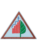 GIRL SCOUTS OF THE USA Brownie Think Like a Citizen Scientist Journey Award Badge